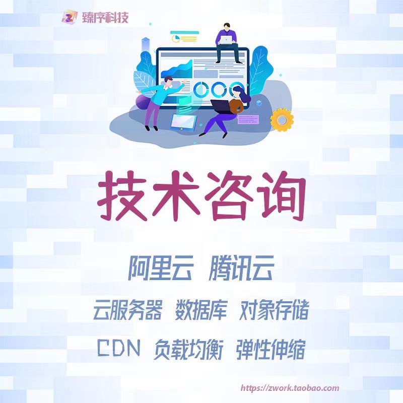 技术咨询问题解决远程指导软件开发建站运维专拍